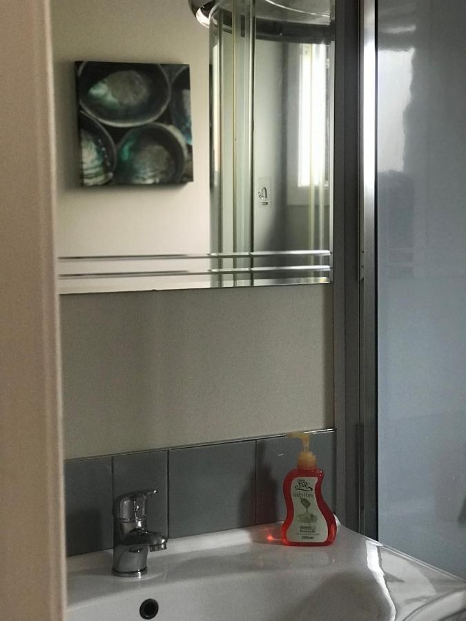 Cosy Caversham Retreat Dunedin Esterno foto